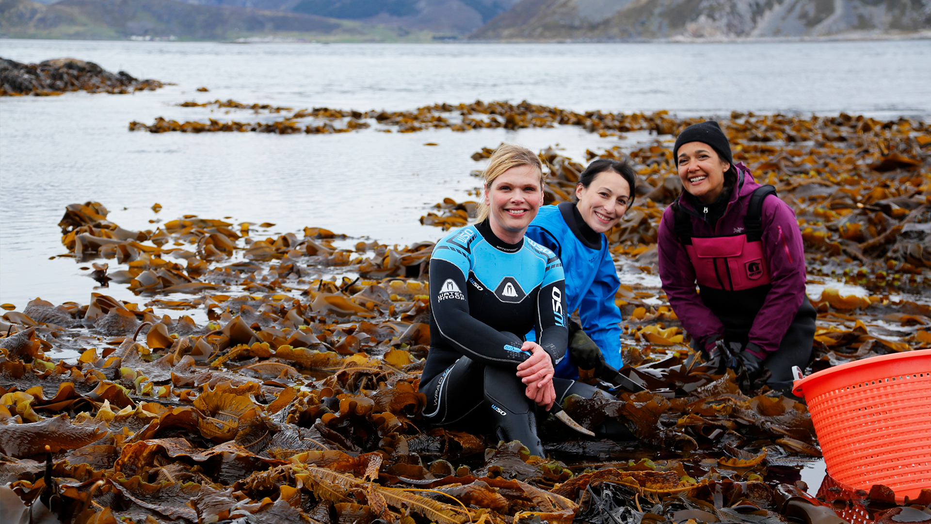 The Island Diaries S2E4 Lofoten Knowledge.ca